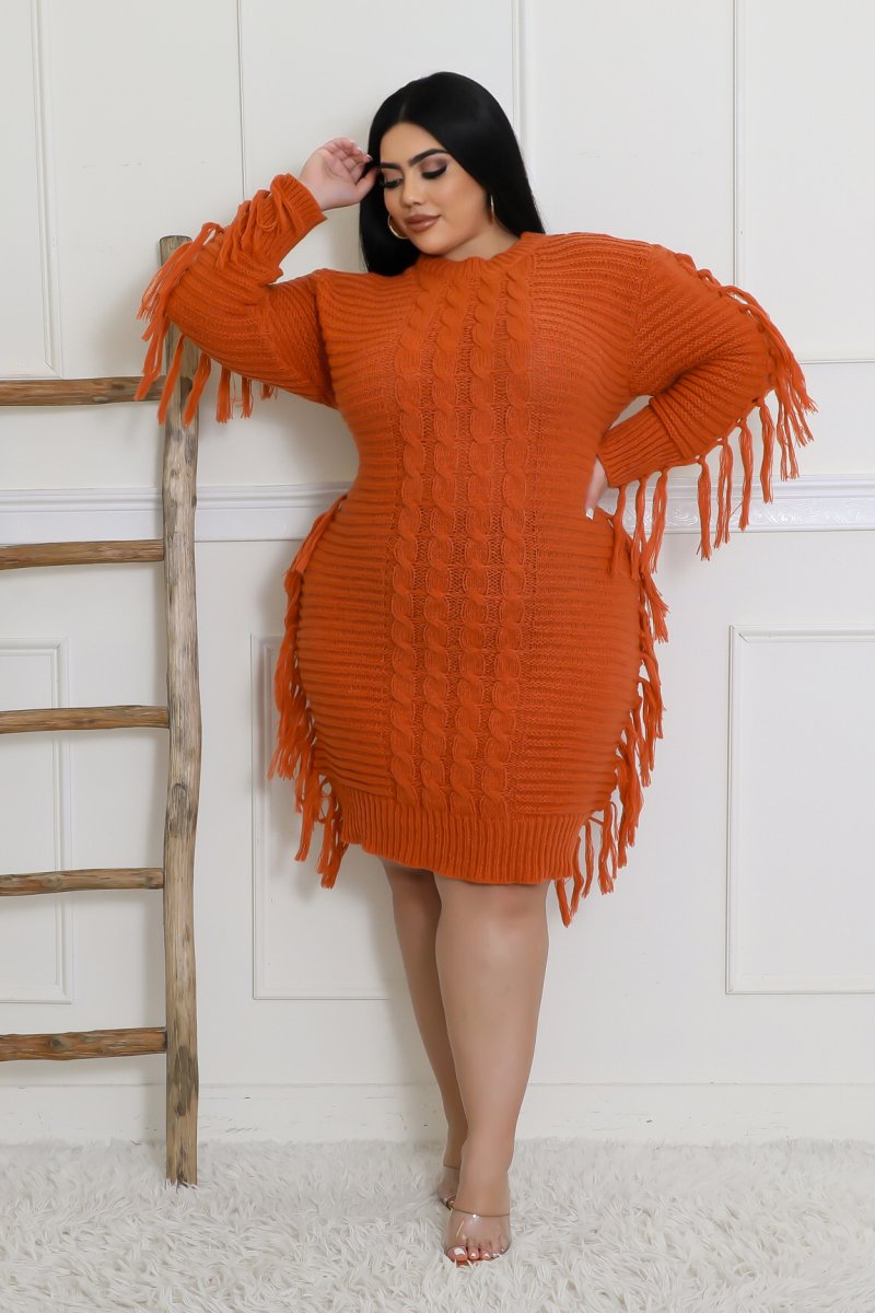 Sweater Fringe Dress Rust